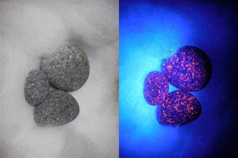 Oh my word, with the right UV light, the stones just lit up with dark, almost black, matrix, and bright yellow spots as the photo shows. . Yooperlite wikipedia